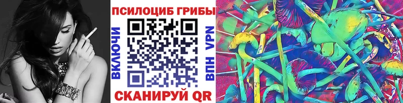 купить закладку  Кировград  Галлюциногенные грибы Magic Shrooms 